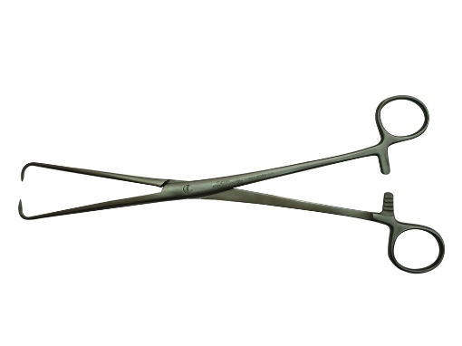 Pinza Pozzi Teknosteel 25 Cm