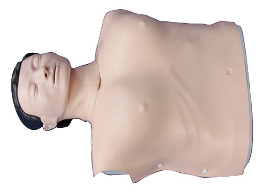 Modelo Masculino de Entrenamiento CPR, mitad Cuerpo