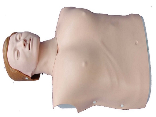 Modelo Femenino de Entrenamiento CPR, mitad de Cuerpo