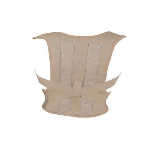 Faja Dorso Lumbar Elastica Con 2 Varillas Benesta